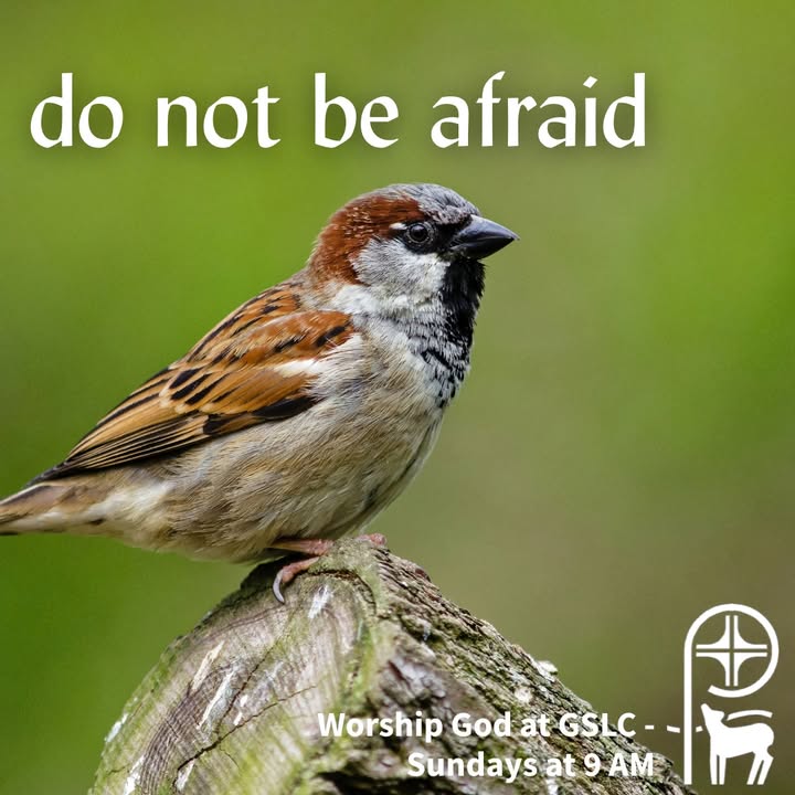 Good Shepherd Lutheran Church, ELCA
