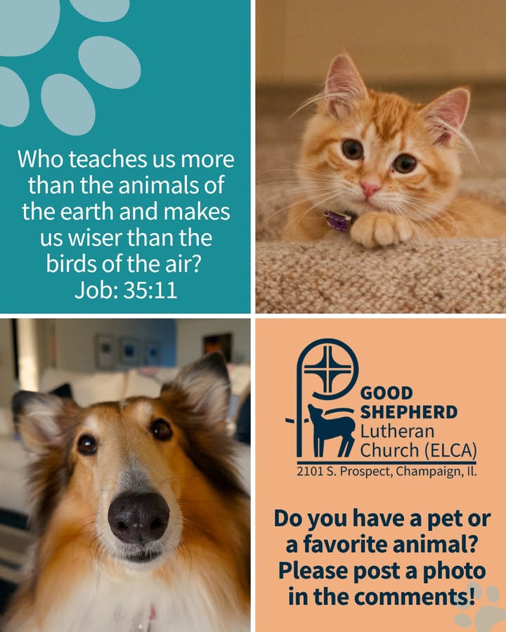 Good Shepherd Lutheran Church, ELCA